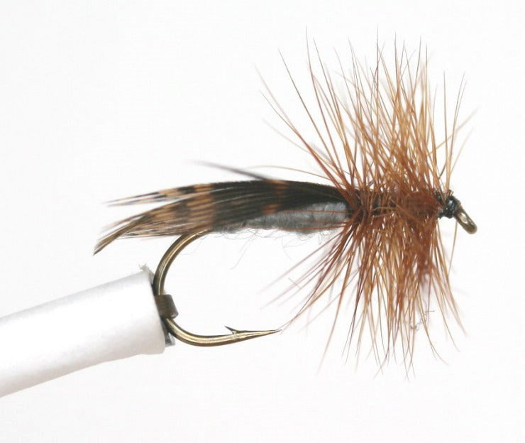 Lacer Wing Moth Dry Fly