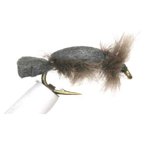 Super Snail Wet Fly Nymph