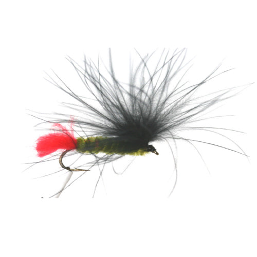 Olive Marabou Lake Lure