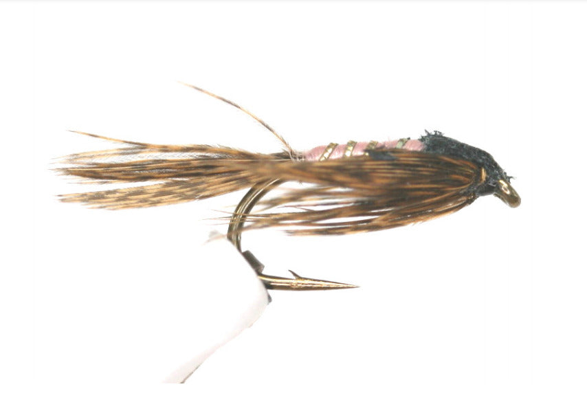 Mayfly Weighted Nymph