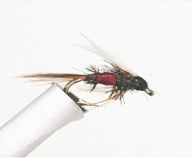 Royal Coachman Wet Fly