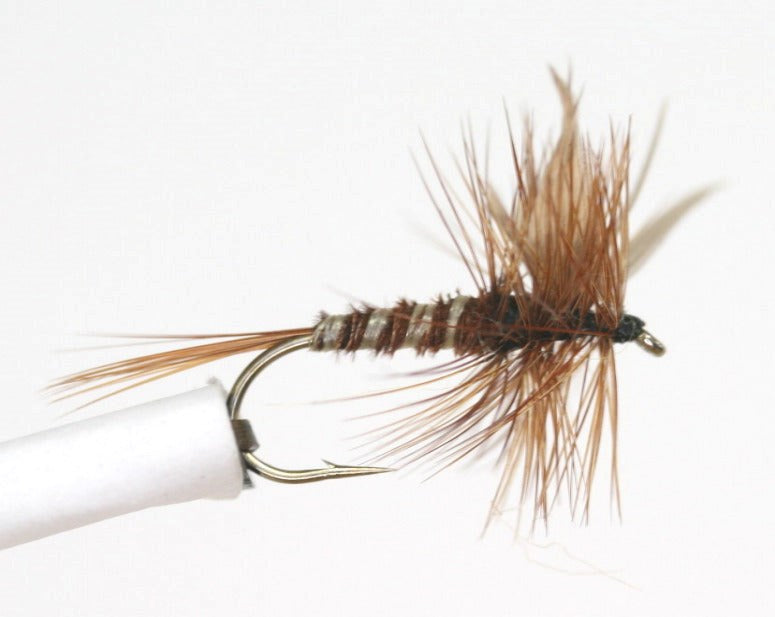 Pheasant Tail Dry Fly